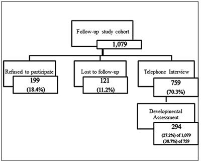 When the Ideal Meets the Feasible: Constructing a Protocol for Developmental Assessment at Early School-Age